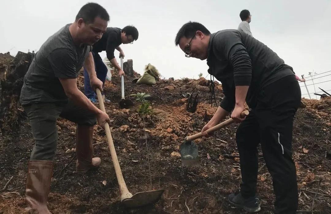 十方鎮(zhèn)未來繁榮藍圖，最新發(fā)展規(guī)劃揭秘