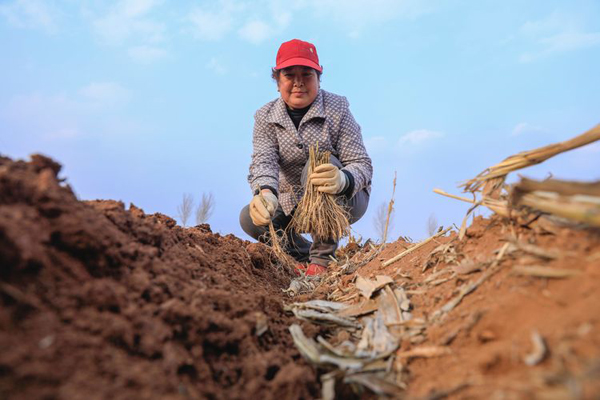 山西省長治市屯留縣西賈鄉(xiāng)最新新聞報道匯總